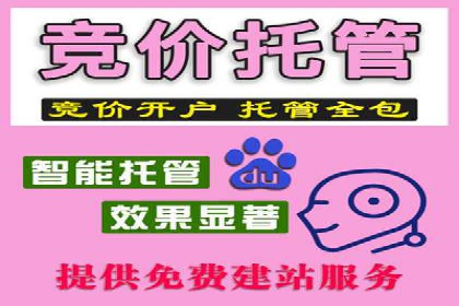 百度竞价推广实战：案例分析与优化策略
